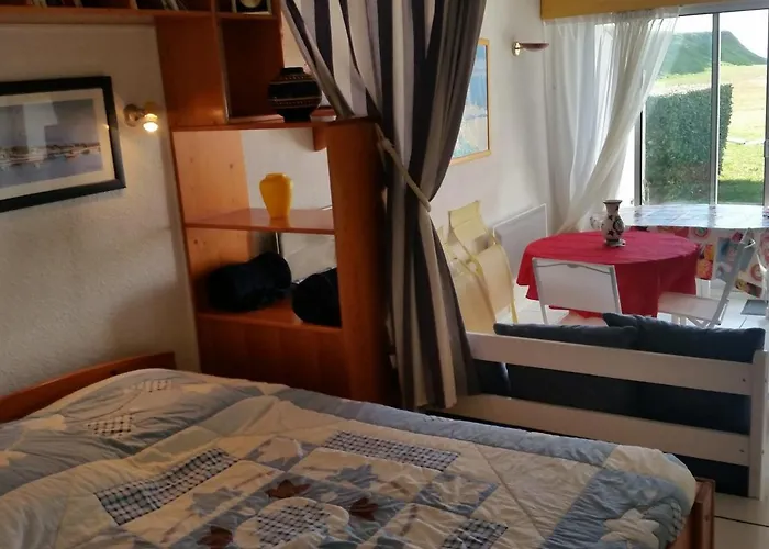 Studio avec terrasse et animaux acceptés en bord de mer - FR-1-494-61 Appartamento *