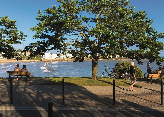 Appartamento Studio avec terrasse et animaux acceptés en bord de mer - FR-1-494-61 *